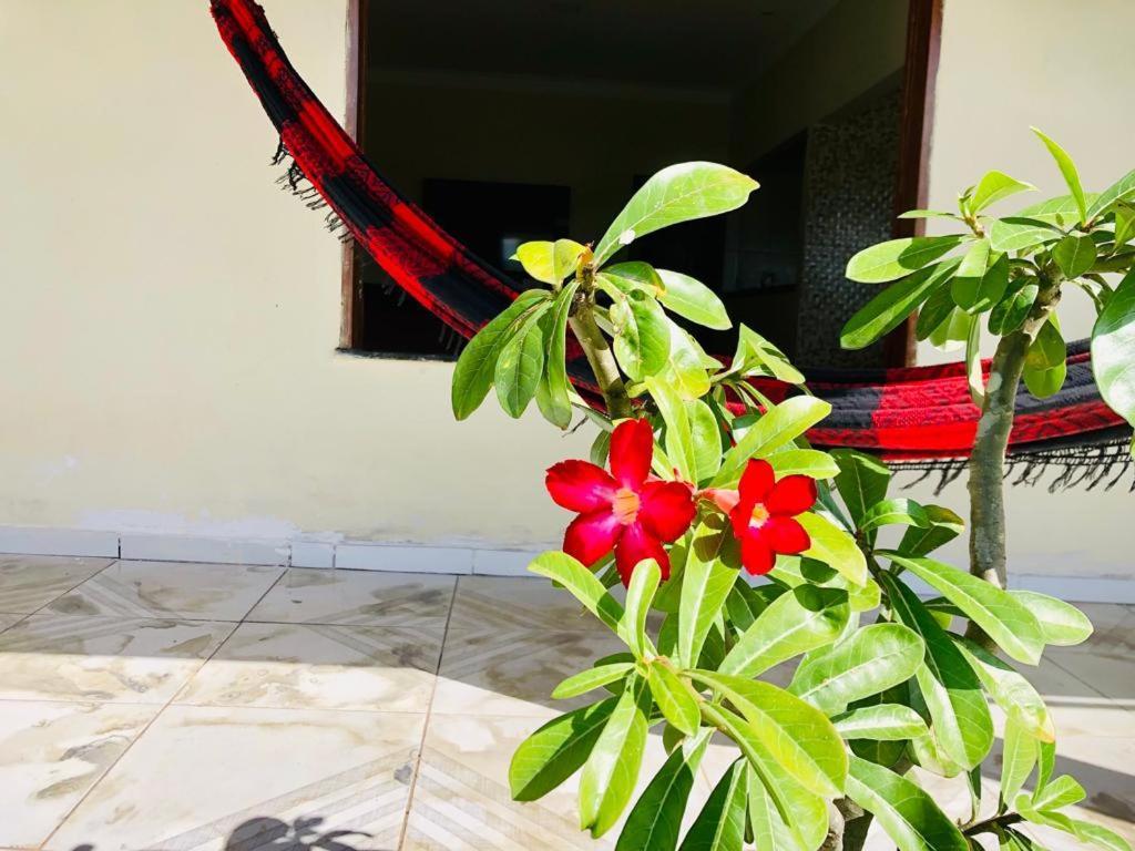 Casa Em Barreirinhas 01 Apartment Ngoại thất bức ảnh